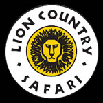 lion lion